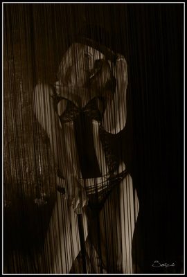 Steve Allan Cerigo – Scoophoto - Photographe de mariages, portraits, reportages, studio. Ile de France - Seine et Marne – 77 – Meaux, Melun, Provins - Yvelines - 78 – Mantes la Jolie, St Germain en Laye, Versailles, Rambouillet - Essonne – 91 – Évry, Étampes, Palaiseau - Haut de Seine 92 – Antony, Nanterre, St Cloud, Neuilly, Colombe, Meudon, Sceaux - Seine St Denis – 93 – St Denis, Bobigny, Noisy le Grand, St Ouen, Montreuil, Pantin - Val de Marne – 94 – Créteil, Nogent sur Marne, Cachan, St Maur des Fossés, Villeneuve St Georges, Boissy St Léger, La Varenne St Hilaire, Villejuif, L'Hay les Roses, Vincennes, Champigny, Ivry, Joinville le Pont - Val d'Oise 95 – Pontoise, Cergy Pontoise, L'Isle Adam, Argenteuil, Taverny, Beauchamps, Herblay - Paris – 75 – Ile de France
