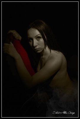 Steve Allan Cerigo –Soizic- Scoophoto - Photographe de mariages, portraits, reportages, studio. Ile de France - Seine et Marne – 77 – Meaux, Melun, Provins - Yvelines - 78 – Mantes la Jolie, St Germain en Laye, Versailles, Rambouillet - Essonne – 91 – Évry, Étampes, Palaiseau - Haut de Seine 92 – Antony, Nanterre, St Cloud, Neuilly, Colombe, Meudon, Sceaux - Seine St Denis – 93 – St Denis, Bobigny, Noisy le Grand, St Ouen, Montreuil, Pantin - Val de Marne – 94 – Créteil, Nogent sur Marne, Cachan, St Maur des Fossés, Villeneuve St Georges, Boissy St Léger, La Varenne St Hilaire, Villejuif, L'Hay les Roses, Vincennes, Champigny, Ivry, Joinville le Pont - Val d'Oise 95 – Pontoise, Cergy Pontoise, L'Isle Adam, Argenteuil, Taverny, Beauchamps, Herblay - Paris – 75 – Ile de France